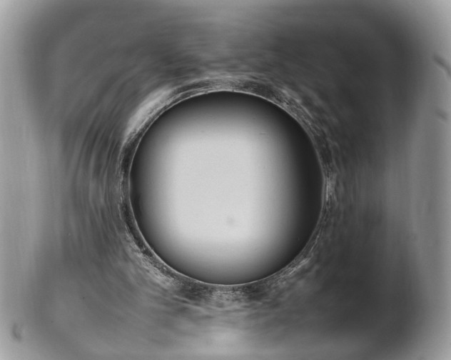 X0000101220101200807071357
