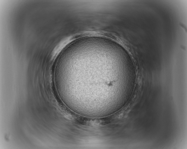 X0000101220103200807071357