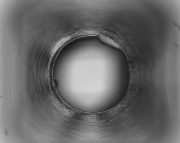 X0000101220104200807071357