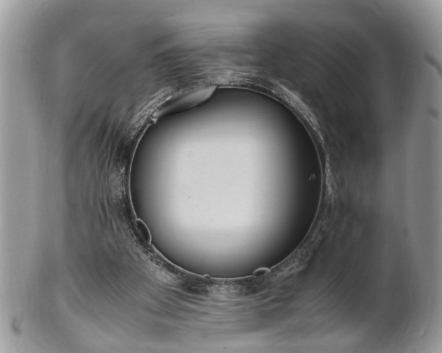 X0000101220105200807071357