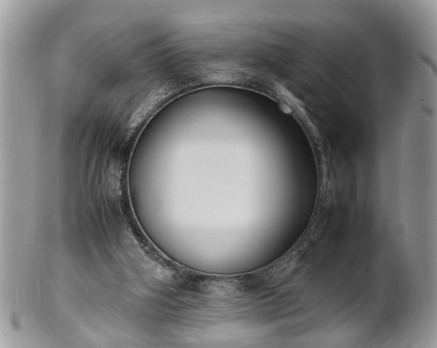 X0000101220106200807071357