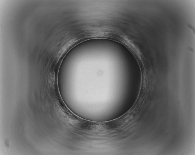 X0000101220107200807071357