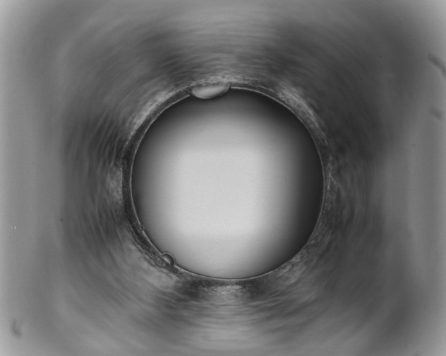 X0000101220108200807071357
