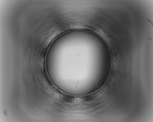 X0000101220111200807071357
