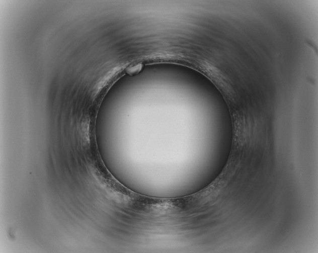 X0000101220112200807071357