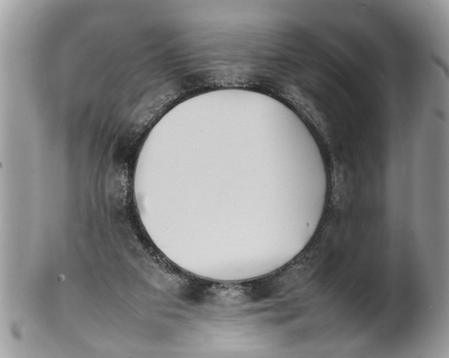 X0000101220113200807071357