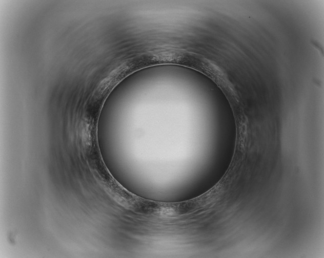 X0000101220114200807071357