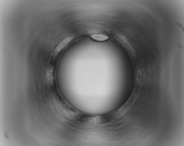 X0000101220116200807071357
