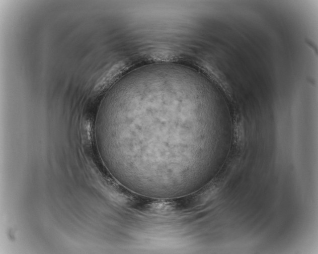 X0000101220117200807071357