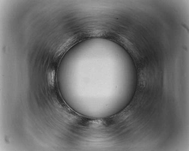 X0000101220118200807071357