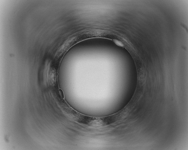 X0000101220119200807071357