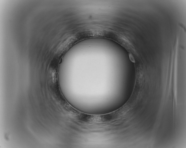 X0000101220123200807071357