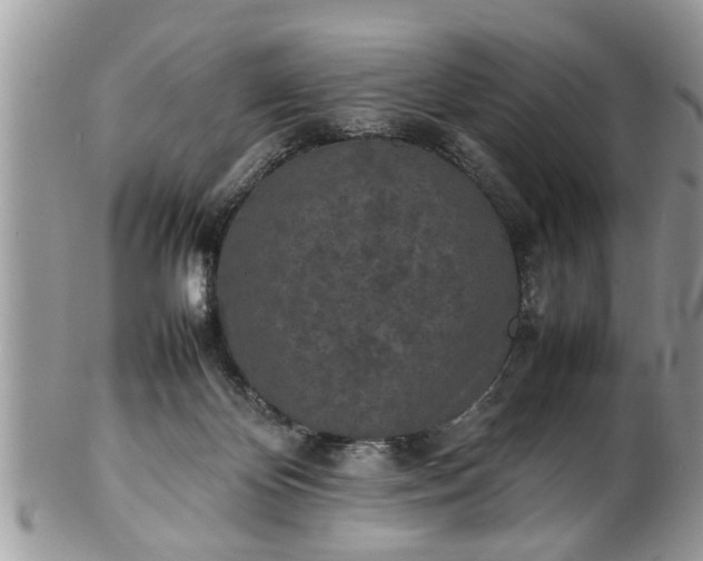 X0000101220124200807071357