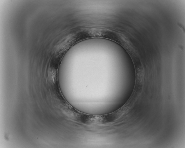 X0000101220125200807071357