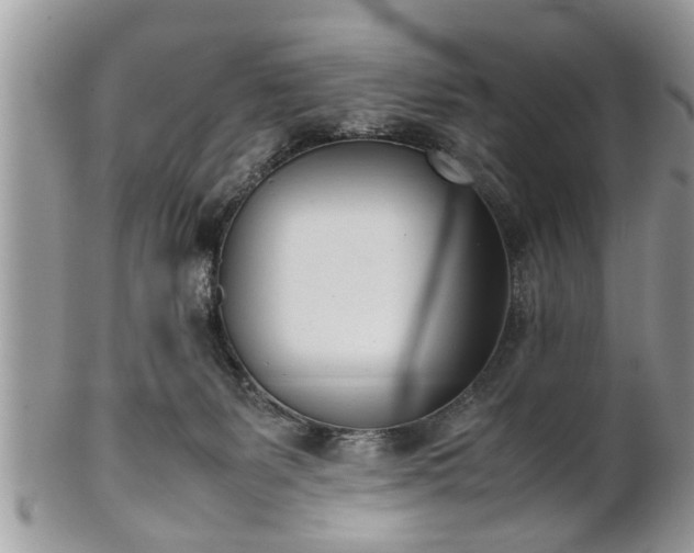 X0000101220127200807071357
