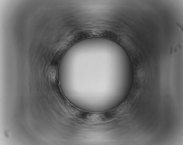 X0000101220129200807071357