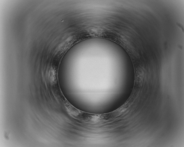 X0000101220130200807071357