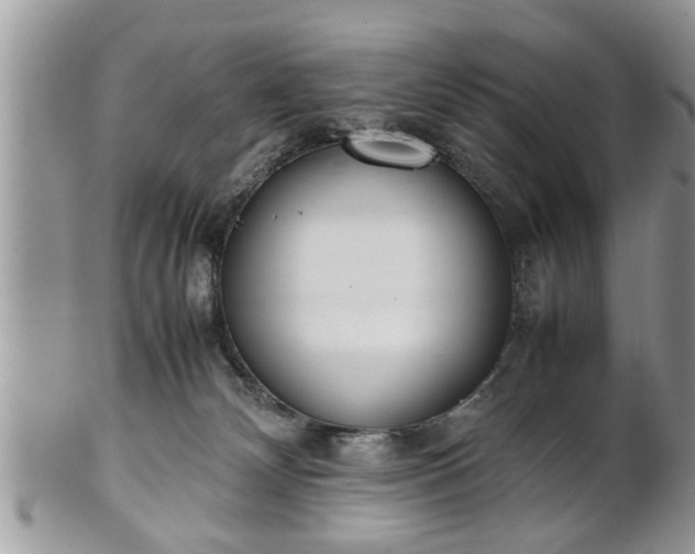 X0000101220132200807071357