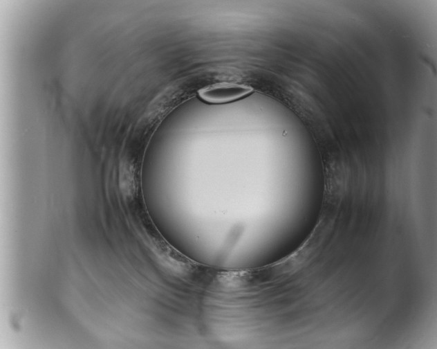 X0000101220136200807071357