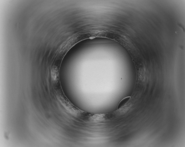 X0000101220138200807071357