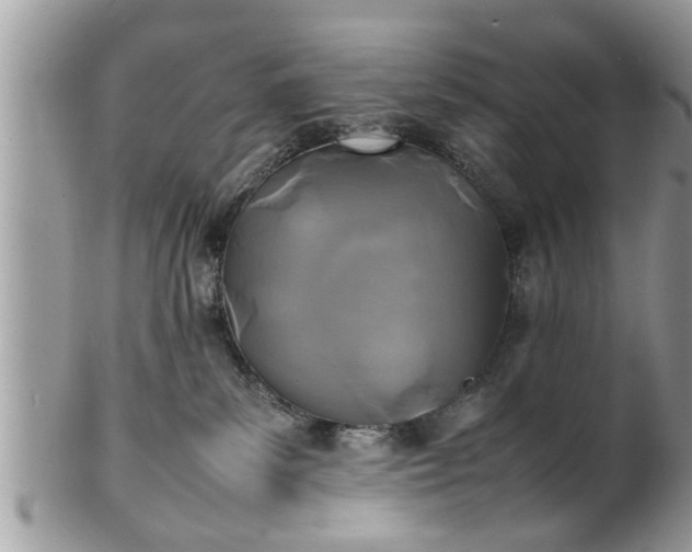 X0000101220139200807071356