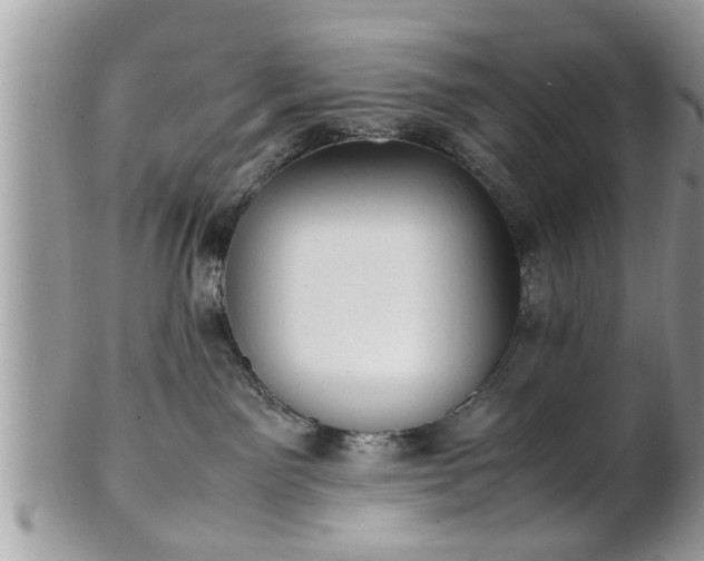 X0000101220141200807071356