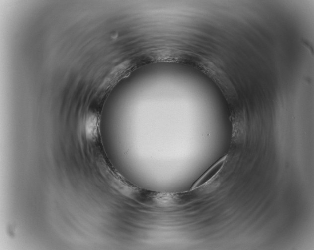 X0000101220142200807071356