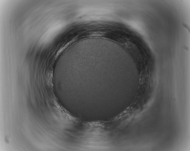 X0000101220146200807071356