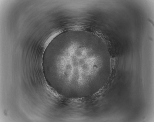 X0000101220147200807071356