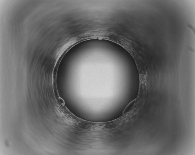 X0000101220148200807071356