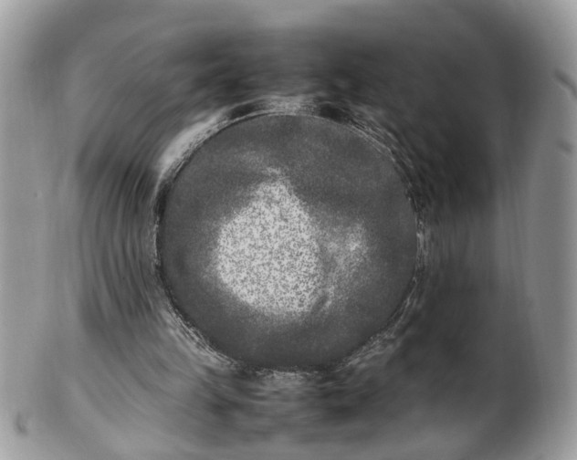 X0000101220149200807071356