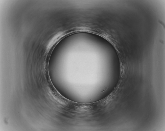 X0000101220151200807071356
