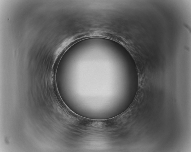 X0000101220152200807071356