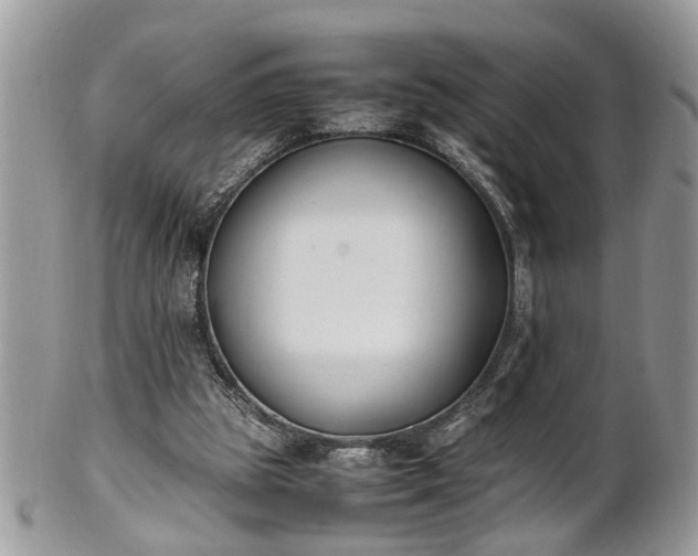 X0000101220153200807071356