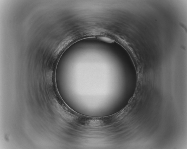 X0000101220154200807071356