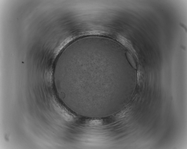 X0000101220156200807071356