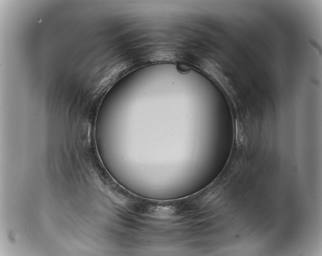 X0000101220157200807071356