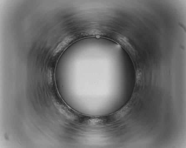 X0000101220158200807071356