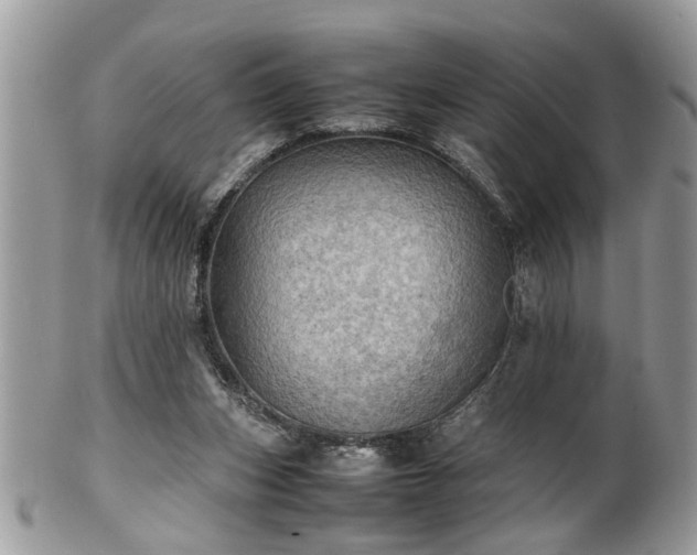X0000101220159200807071356