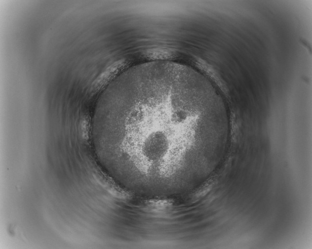 X0000101220161200807071356