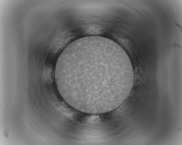 X0000101220162200807071356