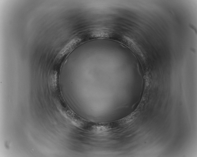 X0000101220163200807071356