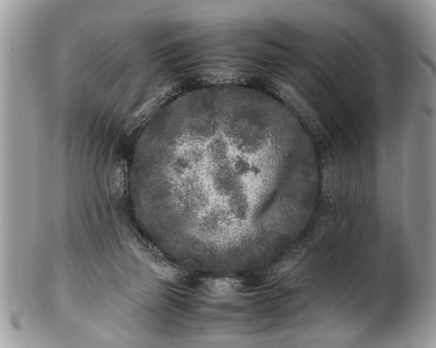 X0000101220165200807071356