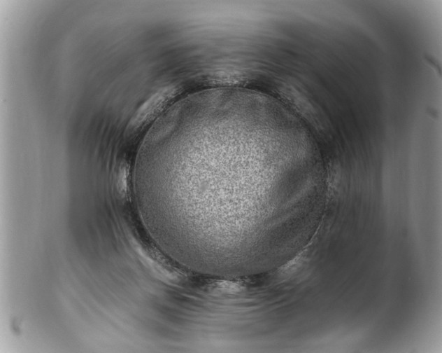X0000101220166200807071356