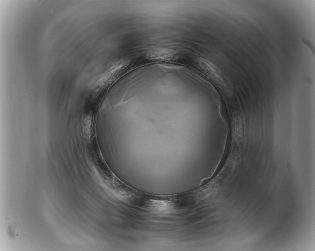 X0000101220167200807071356