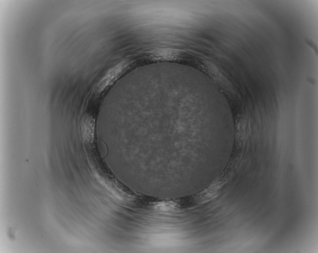 X0000101220168200807071356