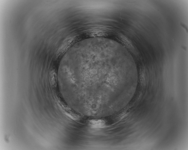 X0000101220169200807071356