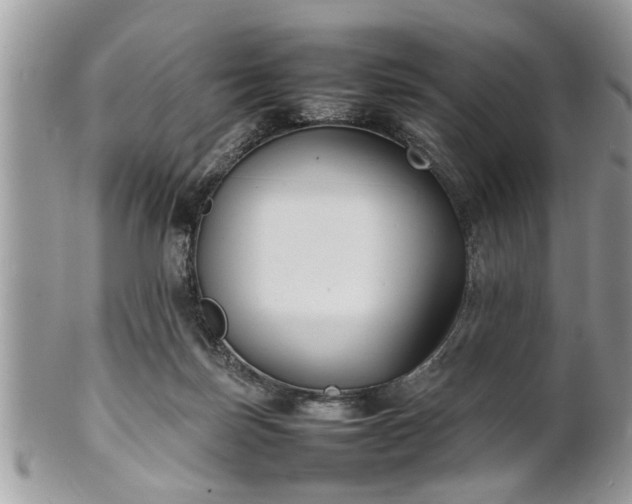 X0000101220171200807071356