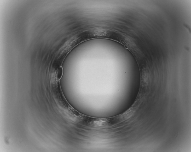 X0000101220172200807071356