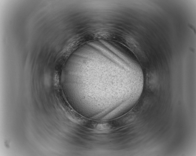 X0000101220173200807071356